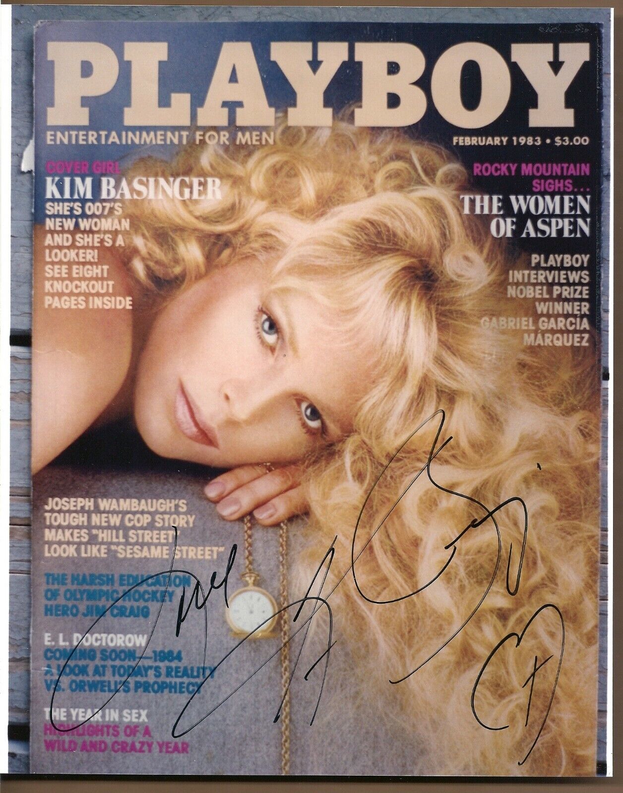 Kim Basinger playboy